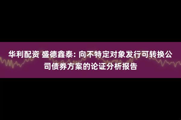 华利配资 盛德鑫泰: 向不特定对象发行可转换公司债券方案的论证分析报告
