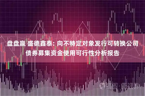 盘盘赢 盛德鑫泰: 向不特定对象发行可转换公司债券募集资金使用可行性分析报告