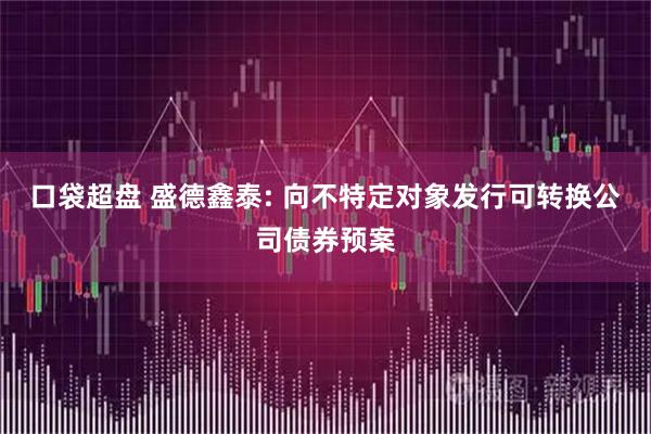 口袋超盘 盛德鑫泰: 向不特定对象发行可转换公司债券预案