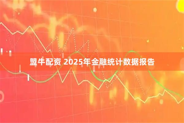盟牛配资 2025年金融统计数据报告